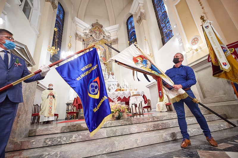 pobratenje praporov madžarskih in slovenskih slikopleskarjev
